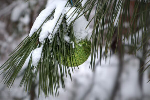 Weihnachtsfeier