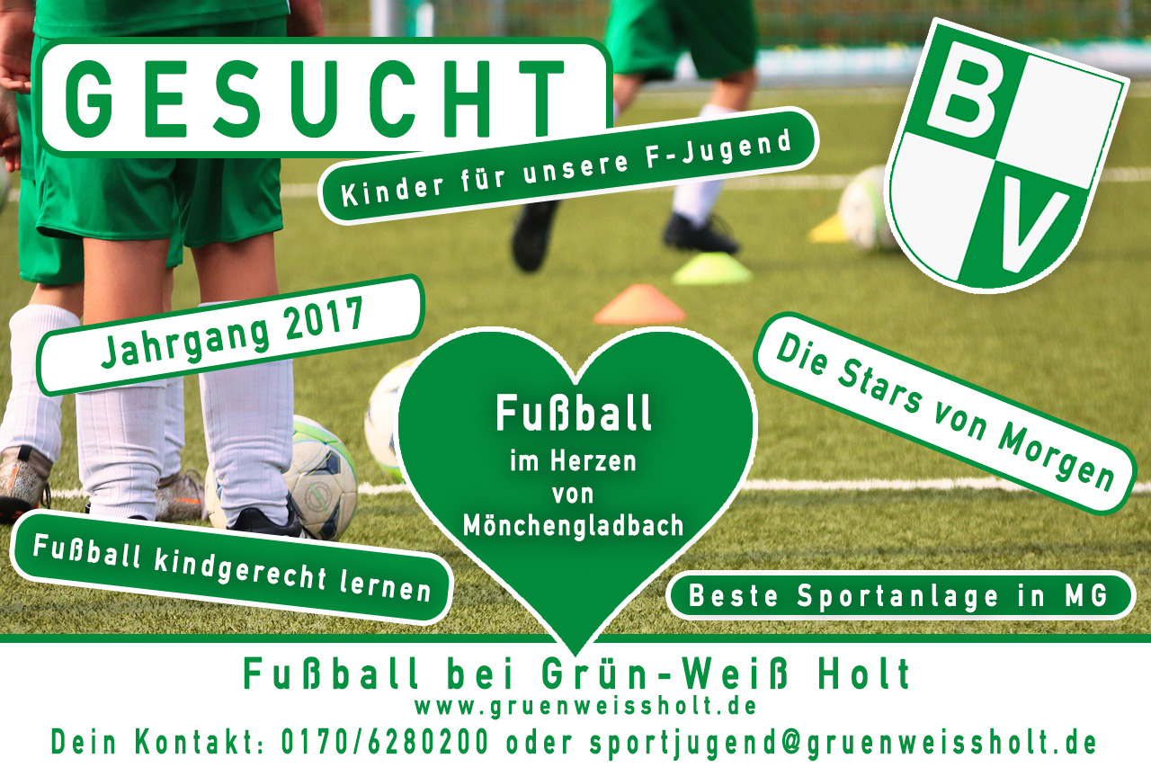 Flyer F-Jugend Grün-Weiß Holt